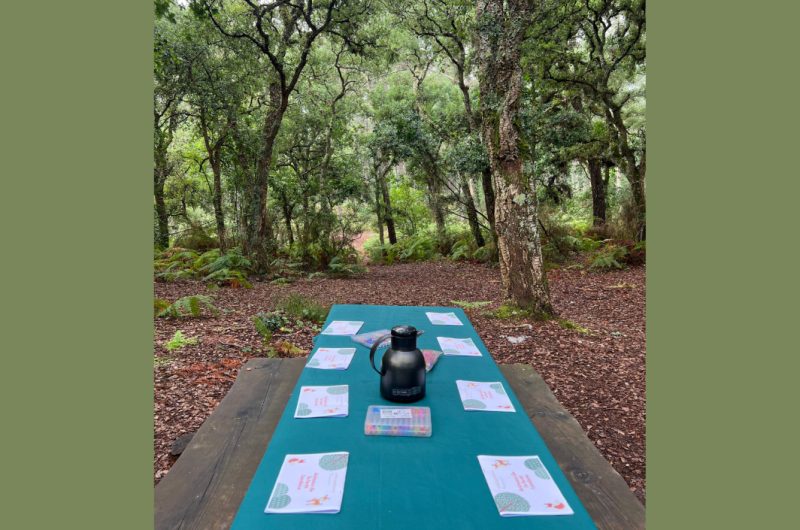 Chasse aux tresors Madame Plante – Enfants