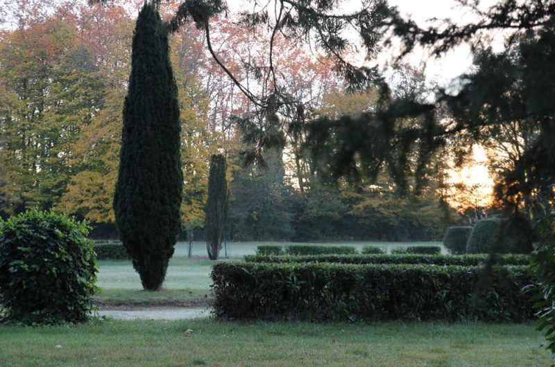 Chateau-de-Ravignan-jardin-brume