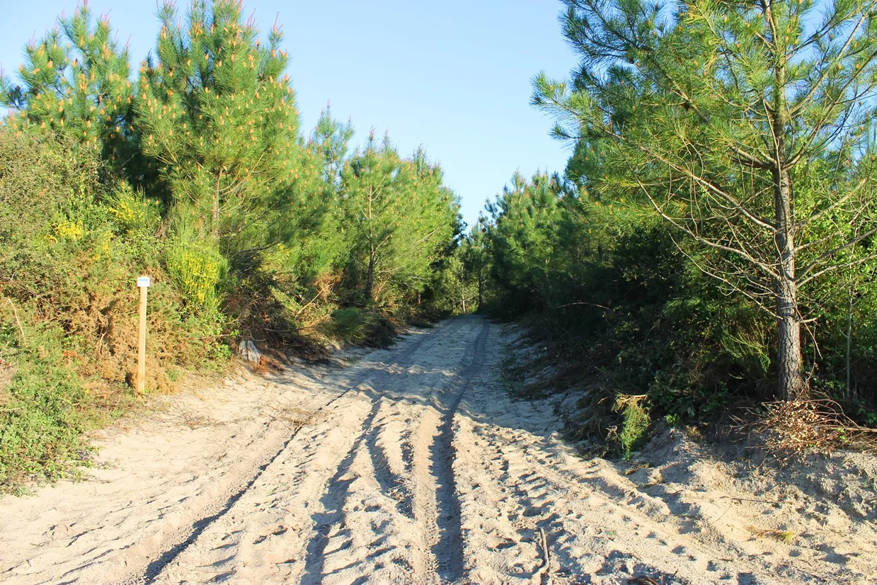 A Seignosse, circuit des plages