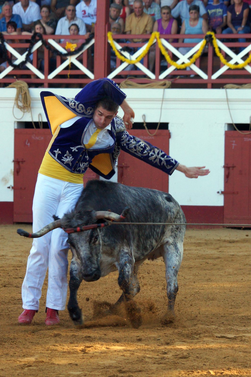 Ecart n°2 – Copyright Céline LAFFARGUE