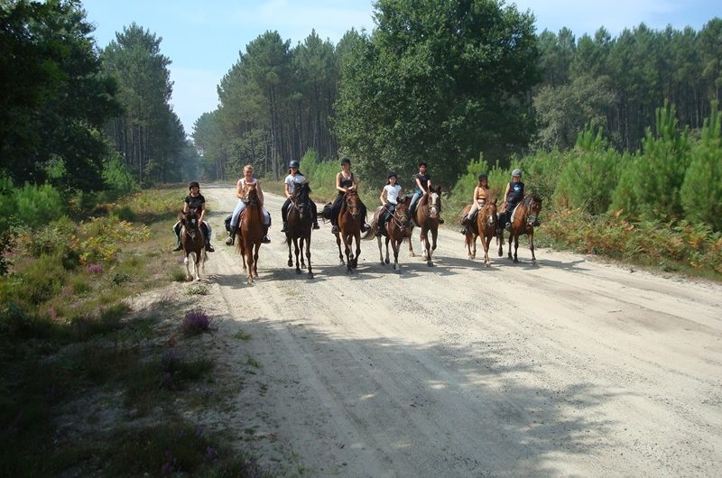 Ecole Equitation Le Menusé_St Jean de Marsacq_Landes Atlantique Sud (7)
