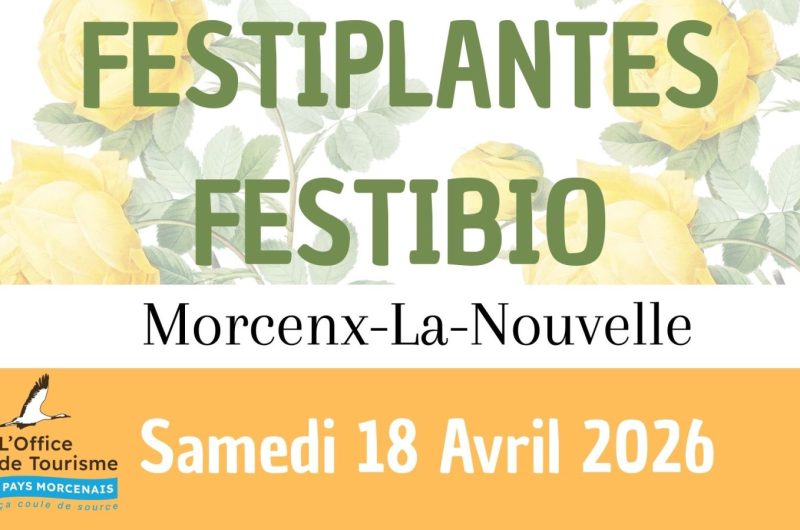 FESTIPLANTES – 2