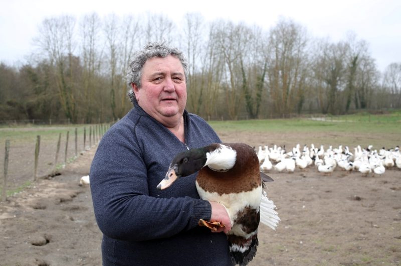 Ferme-La-barthote-Ste-Marie-de-Gosse-Landes-Atlantique-Sud–1-