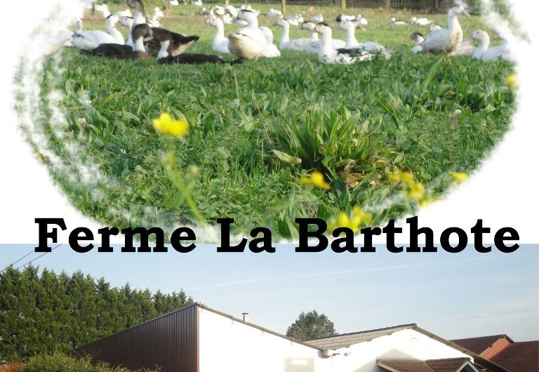 Ferme-La-barthote-Ste-Marie-de-Gosse-Landes-Atlantique-Sud