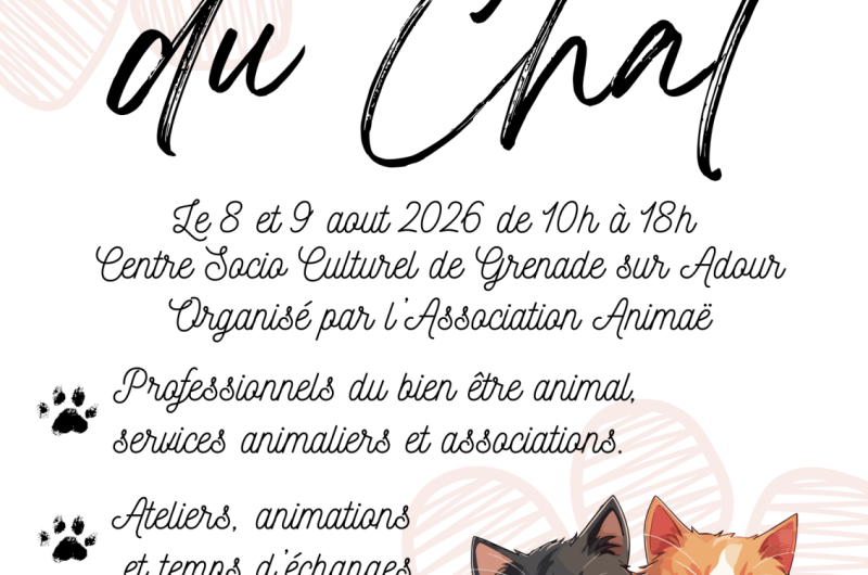 Festival du chat 8-9-08