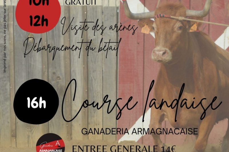 Affiche Événement Sport Trail Montagne Publicitaire Marron et Beige Moderne Trail Affiche (Portrait A3) – 1