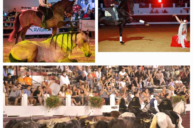 GanderiaGrenet©Grenet