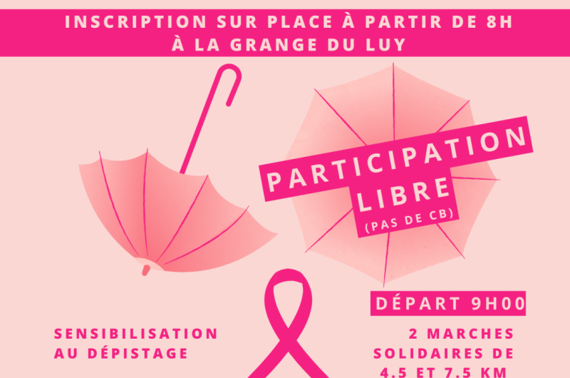 Flyer Evènement Solidaire Octobre Rose Sensibilisation Cancer du Sein – 1