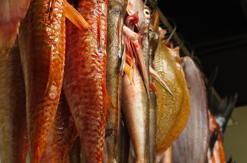 Goustut Capbreton (10)