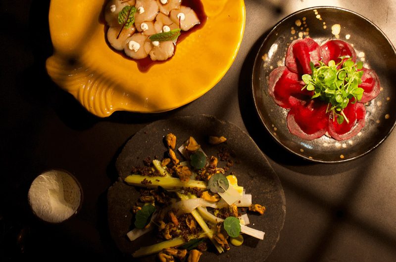 Goustut Capbreton (14)