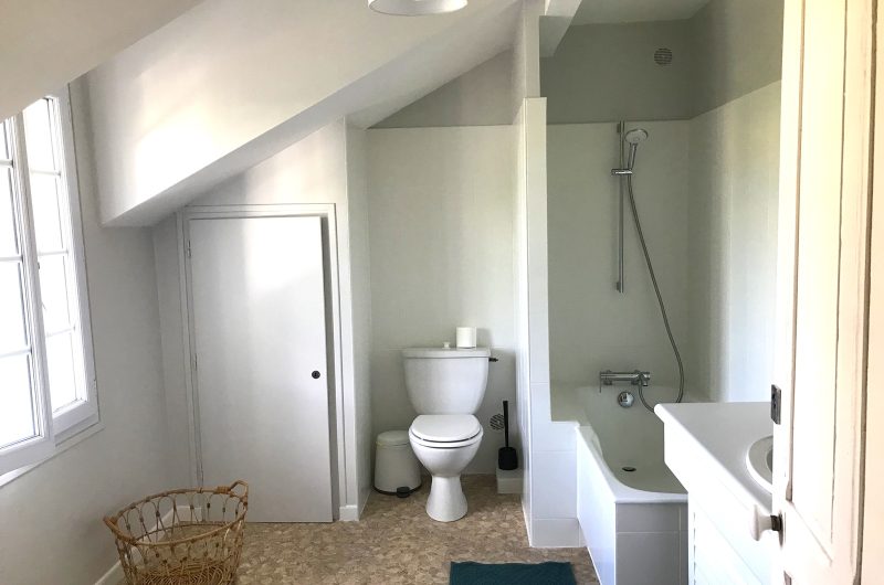 Gout_capbreton_landesatlantiquesud (19)