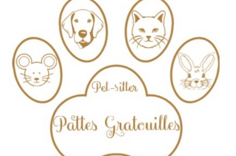 IMG-20250202-WA0009 (Copier)