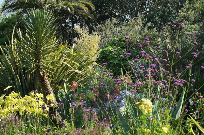 Jardin des Barthes 1 OTILAS 25