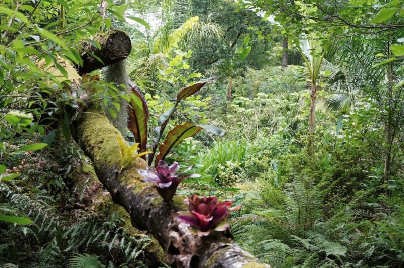 Jardin des Barthes 4 OTILAS 25