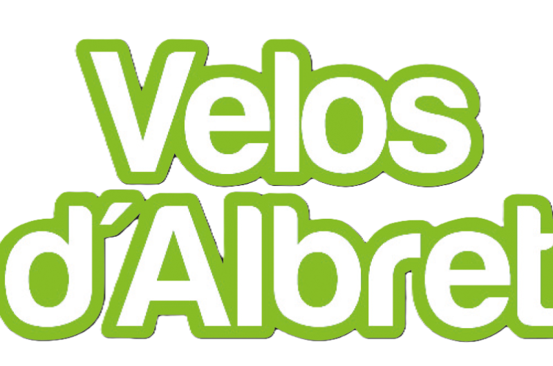 LEON_velosalbret_logo