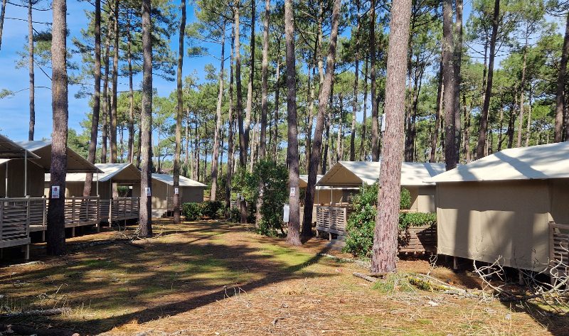 LIT-CampingCap_Camping_zone_lodges_01