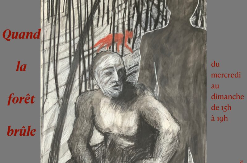 LIT-Expo Quand la  forêt brûle