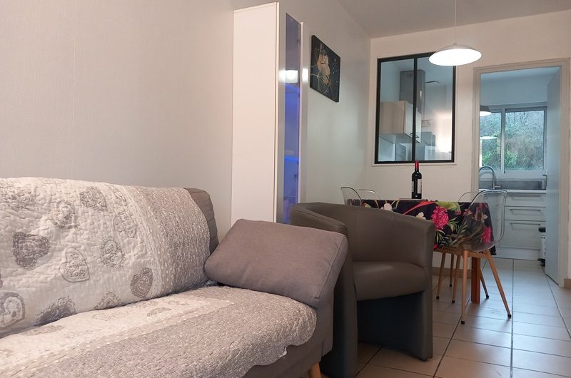 Les Albizias 13-14 -salon séjour (20)