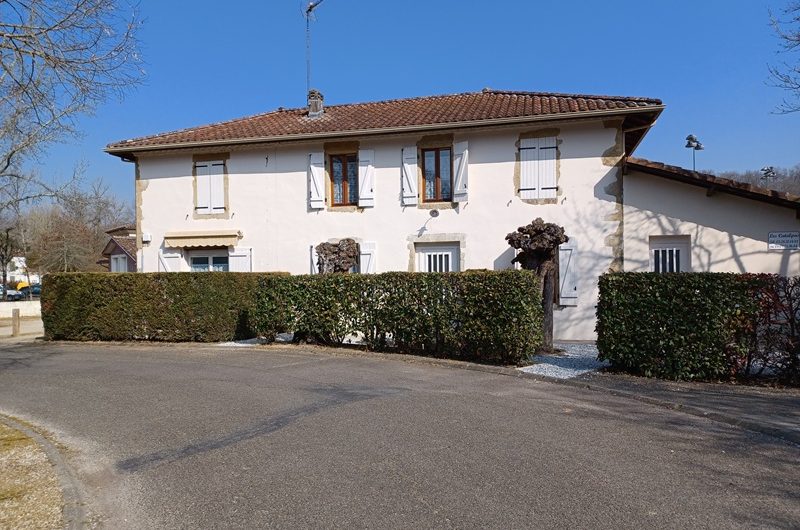 Les Catalpas n°1  (4)