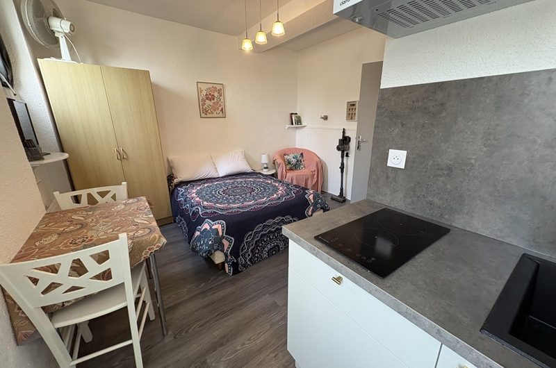 Les Hirondelles n°2 (1)