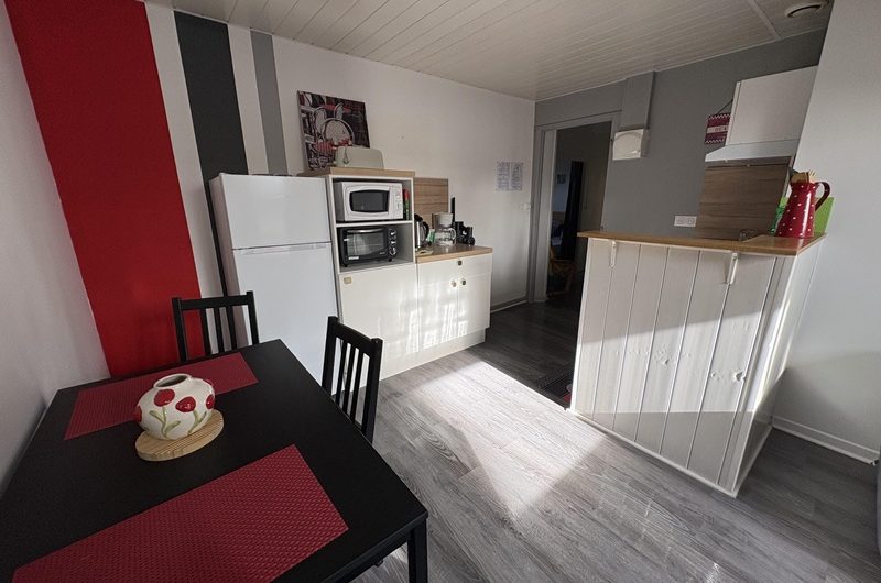 Les Hirondelles n°5 (6)