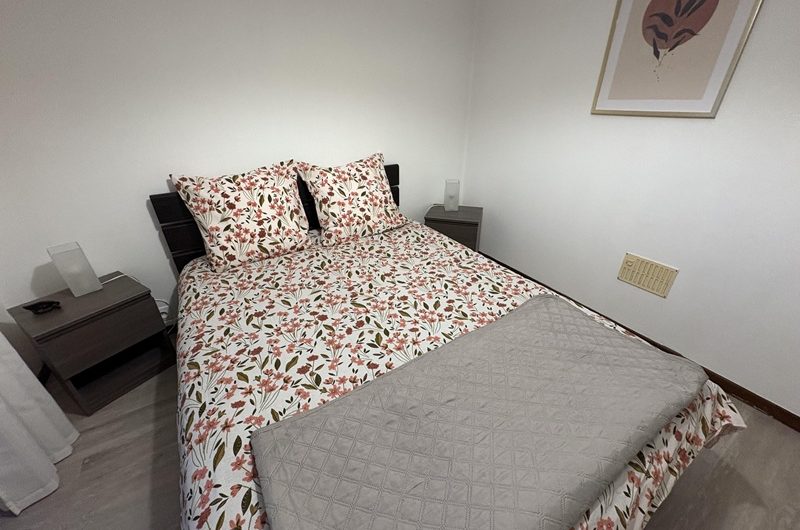 Les Hirondelles n°6 (2)