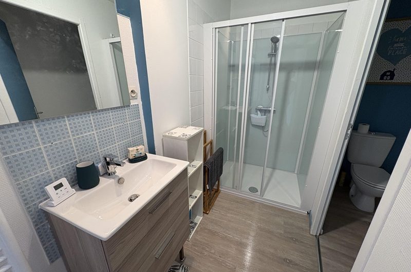 Les Hirondelles n°6 (3)