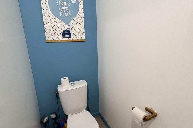 Les Hirondelles n°6 (4)