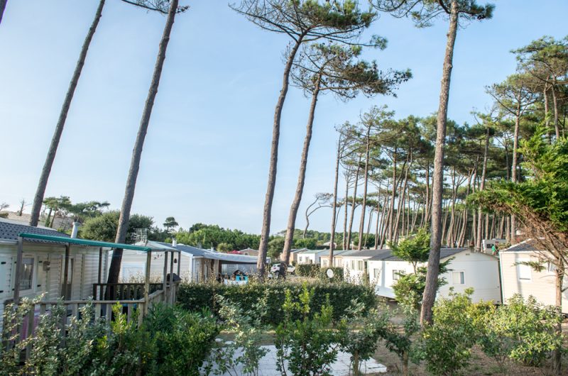 Les-Sableres-Vieux-Boucau-Landes-Atlantique-Sud–11