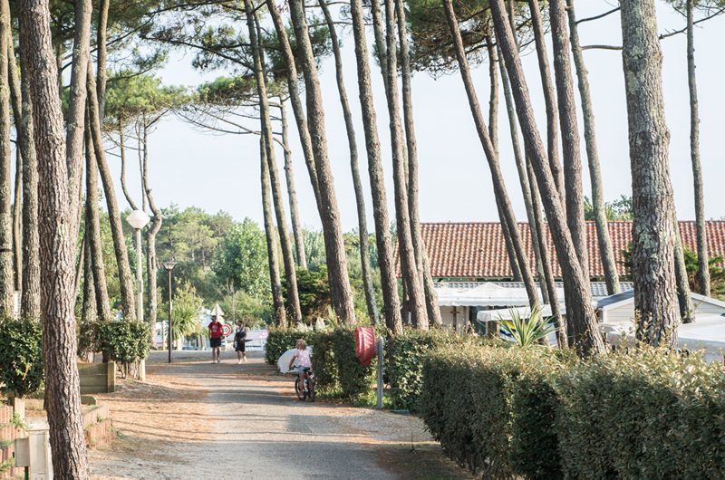 Les-Sableres-Vieux-Boucau-Landes-Atlantique-Sud-12