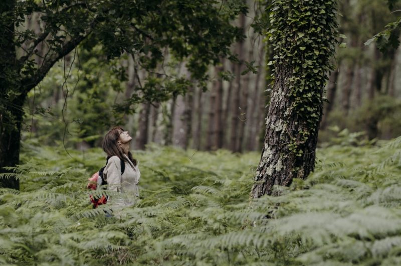 Les nuits des forêts@karenpetit@terra-atlaya (109)