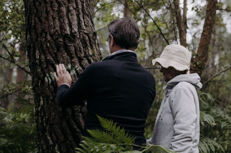 Les nuits des forêts@karenpetit@terra-atlaya (132)