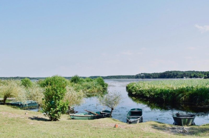 Les-roseaux-2019–Les-Roseaux–2-