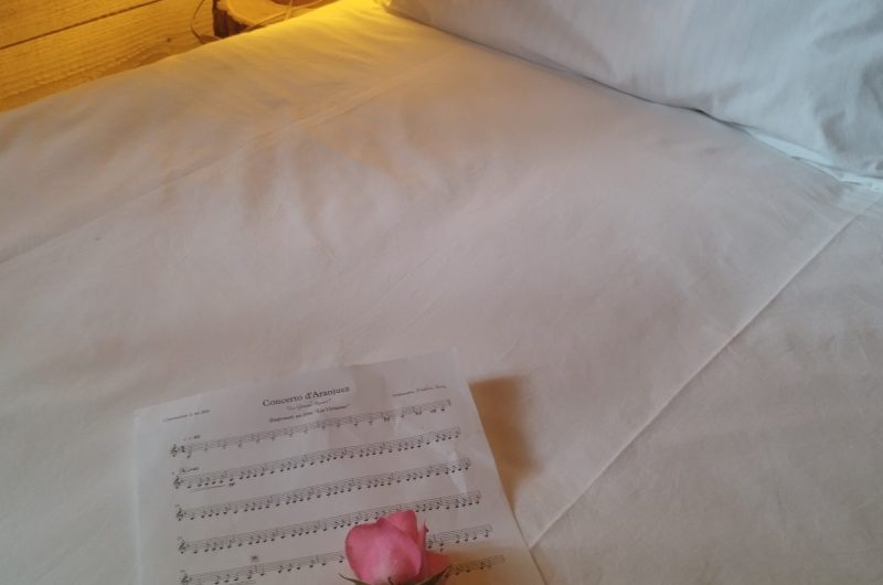 Lit double fleur et partition Cabane Papyjotte 2025 ©OTC