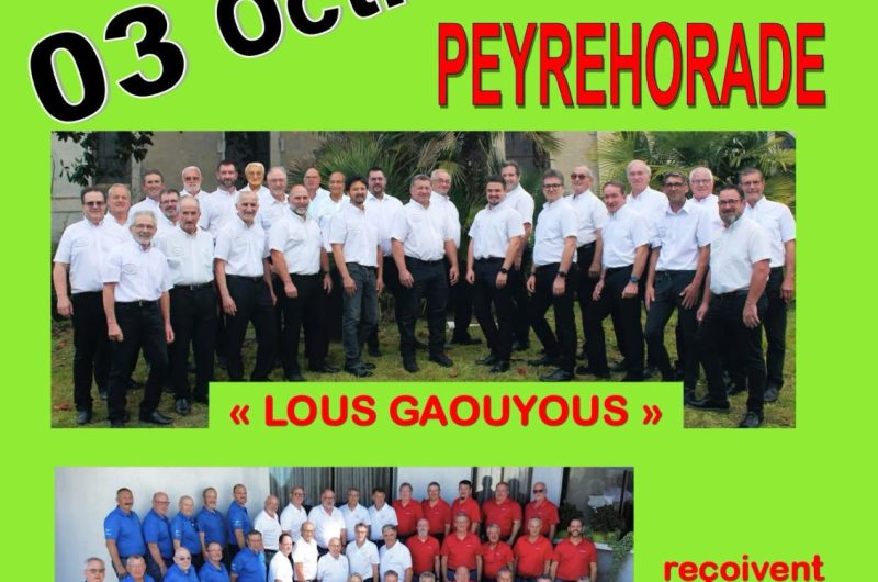 Lous gaouyous