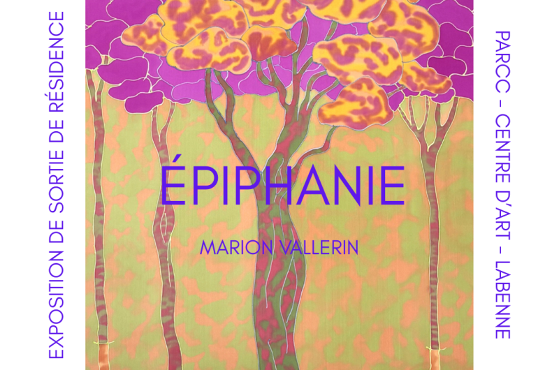 M.Vallerin-expo-sortie-de-residence