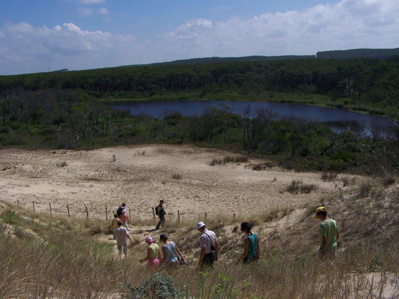 A Mimizan Plage, sentier de découverte “l’Etang de la Mailloueyre”