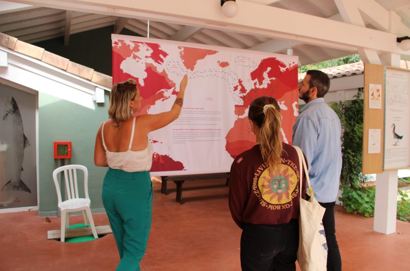 Maison du Saumon @Landes Attractivité (17)