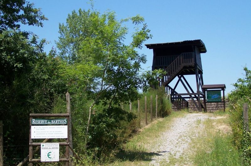 Observatoire-Lesgau-2