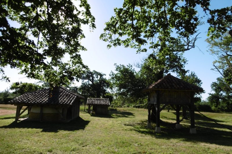 P1000225