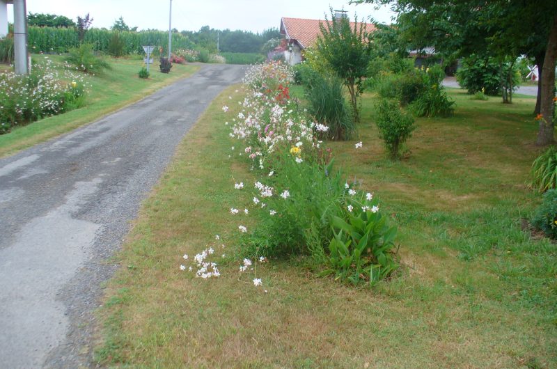 P1030377