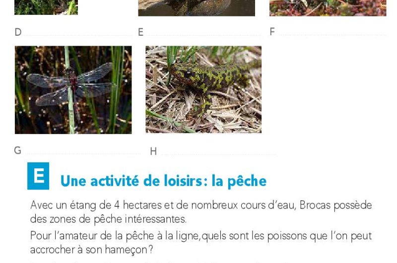 Parcours-Orientation-Brocas-2019-page-017
