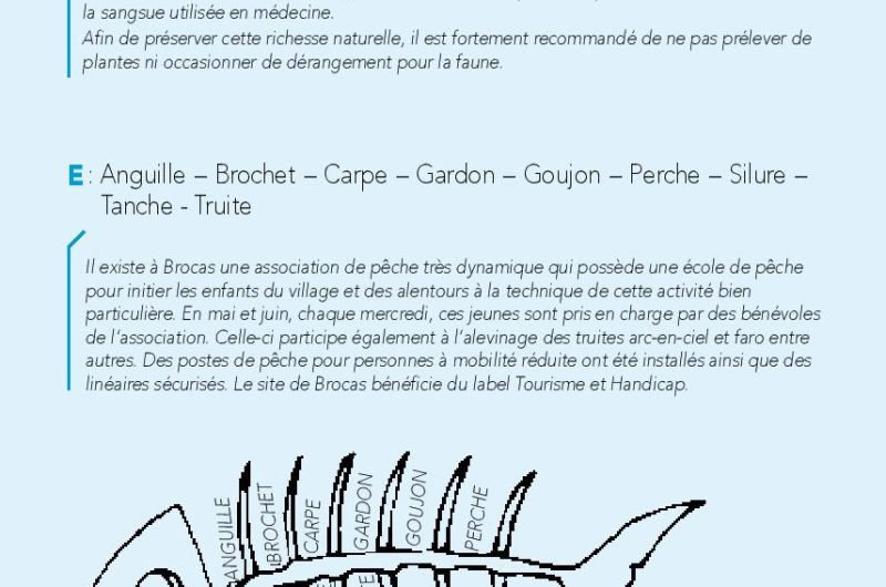 Parcours-Orientation-Brocas-2019-page-019
