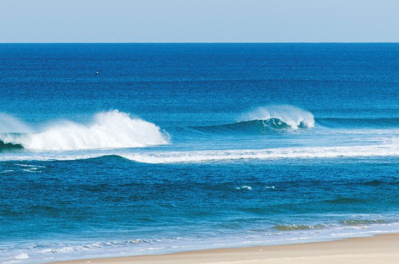 Photo-Pura-Vida