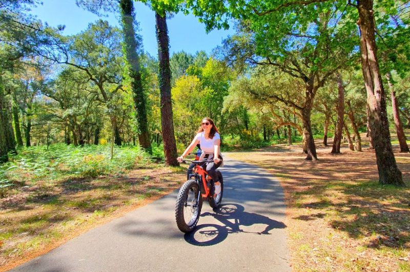 redim photo site et montages – 1