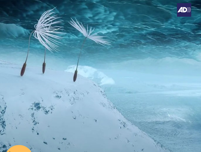 Intramuros 155 – 8