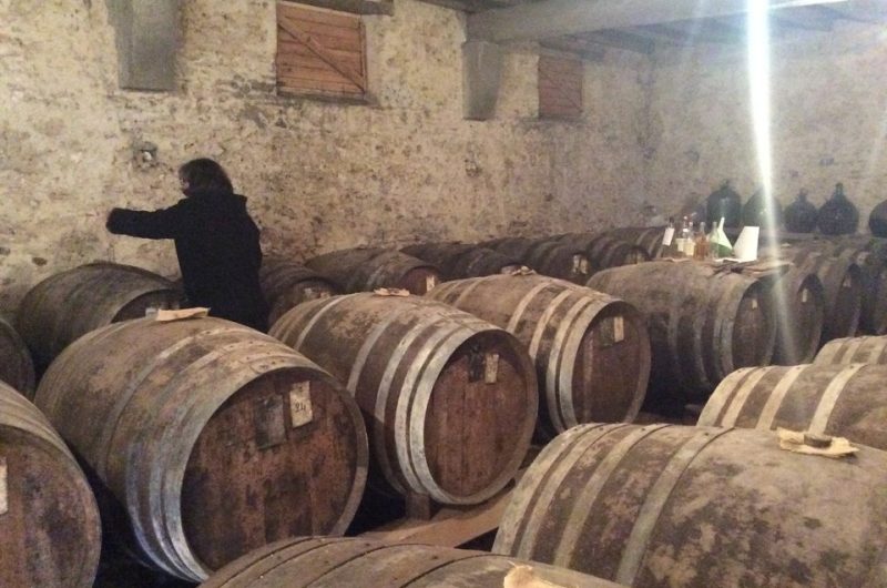 Producteur – Armagnac  – Hontanx – Laubesse – Chai 1