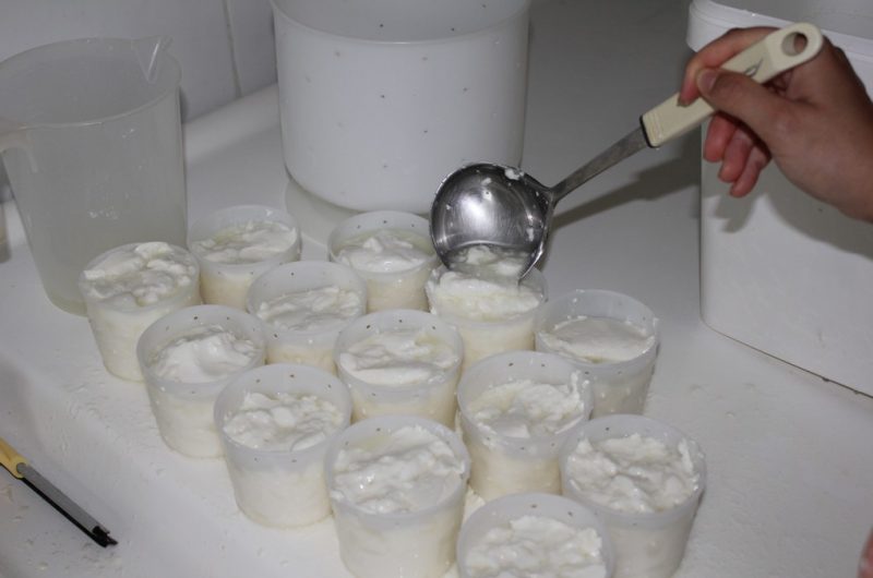 Producteur – Eleveur – Betbezer – Ferme de l’Hecso – Fromagerie