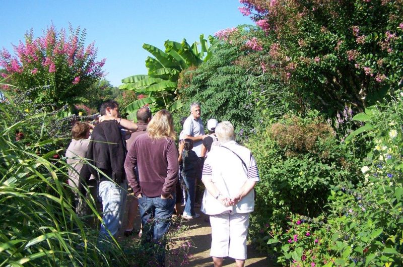 Promenade-fleurie-1