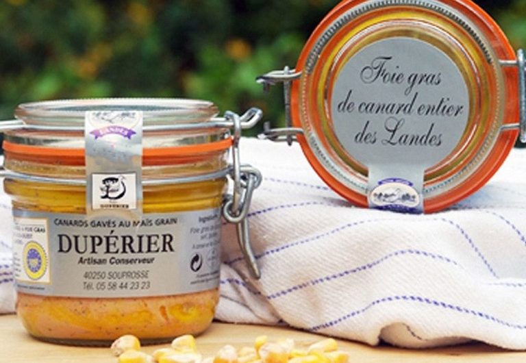 SAS-DUPERIER-Soustons-OT-Landes-Atlantique-Sud—Copie